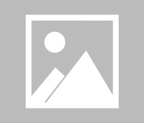 九游体育-球场新秀惊艳亮相，独揽进球荣誉的简单介绍